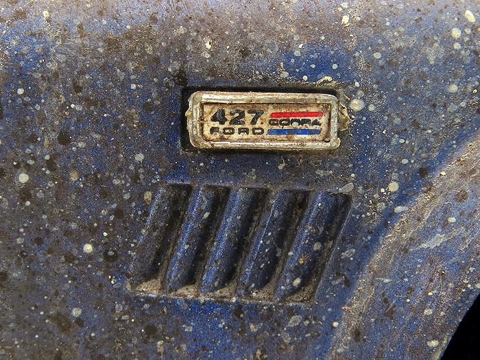 CobraBlueSS35
